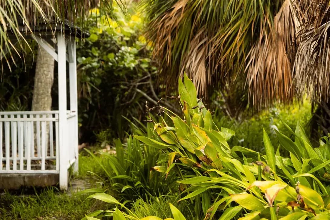 Jardin Harmonie 2