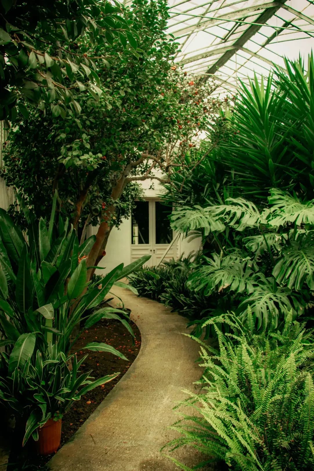 Jardin Harmonie 6
